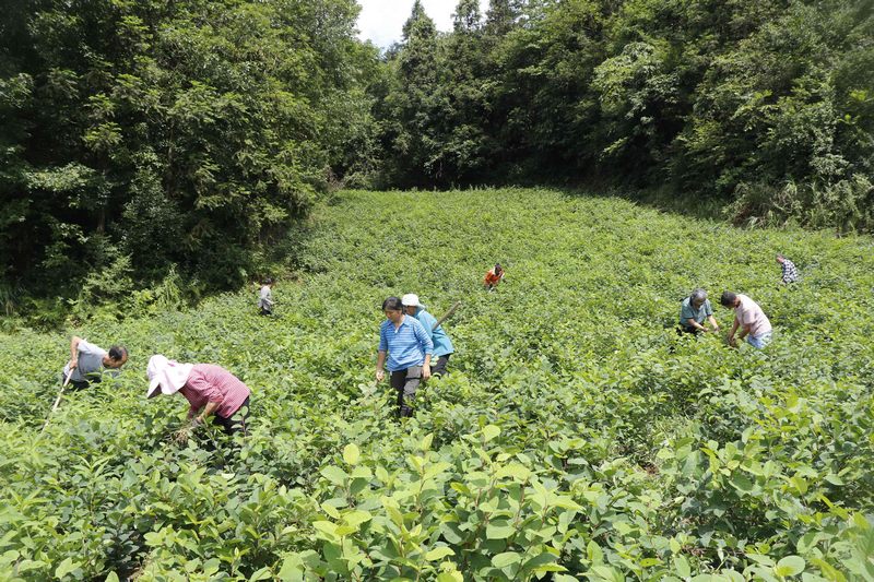 工人們?yōu)榛⒄人赏痢⒊荨? ></a></td></tr><tr><td align=center><font color='#000000'>工人們?yōu)榛⒄人赏痢⒊荨?/font></td></tr></table></div>
				<body> 
 <p style=