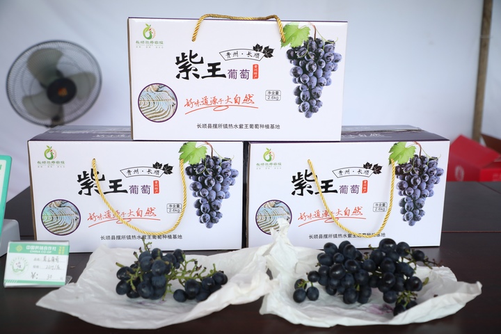 紫王葡萄產(chǎn)品展示。