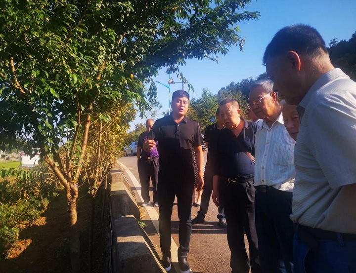 圖為在敬南鎮(zhèn)白河村茶園示范基地調(diào)研。