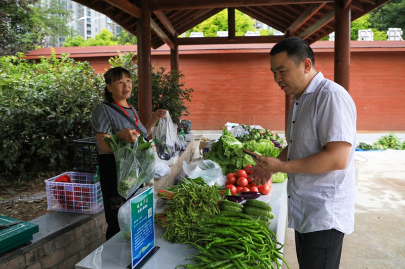 市民在“觀觀早菜”市場(chǎng)購(gòu)買蔬菜。