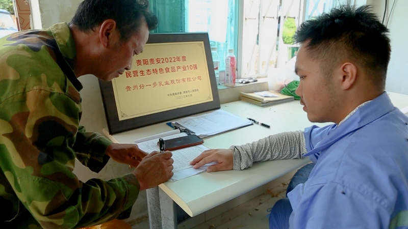 工作人員在對青貯玉米進(jìn)行質(zhì)量檢測 張宇攝.jpg