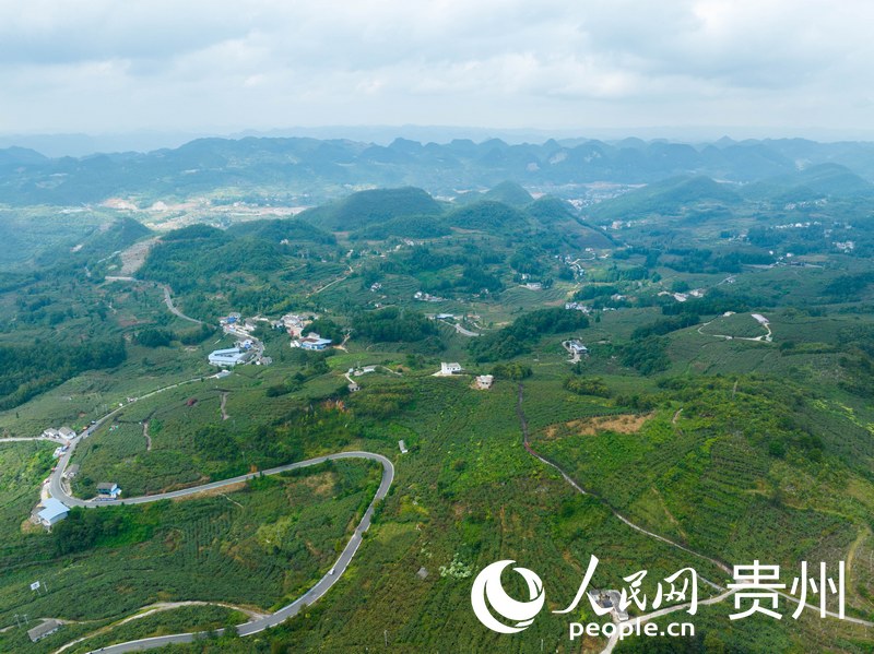 航拍修文平灘村。人民網(wǎng) 陽茜攝