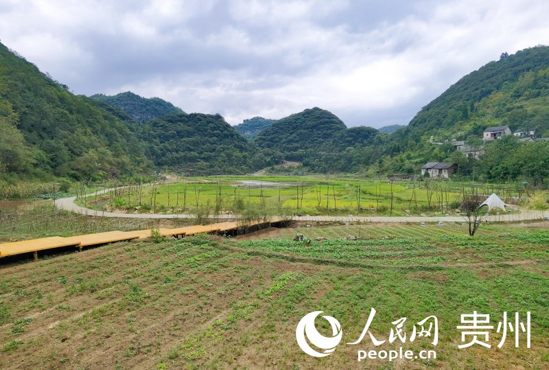 “你家院”田園風光。人民網(wǎng) 王秀芳攝