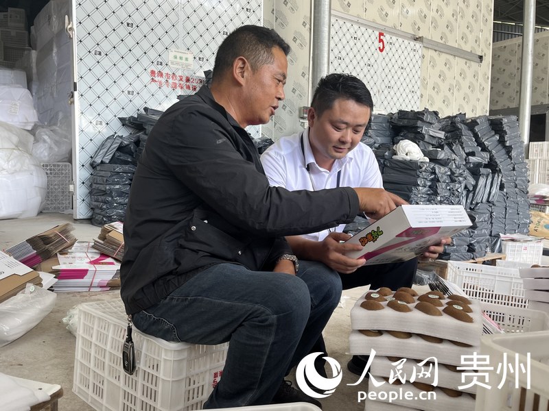徐文華與李坤交流今年獼猴桃生產(chǎn)經(jīng)營情況。人民網(wǎng) 李麗萍攝
