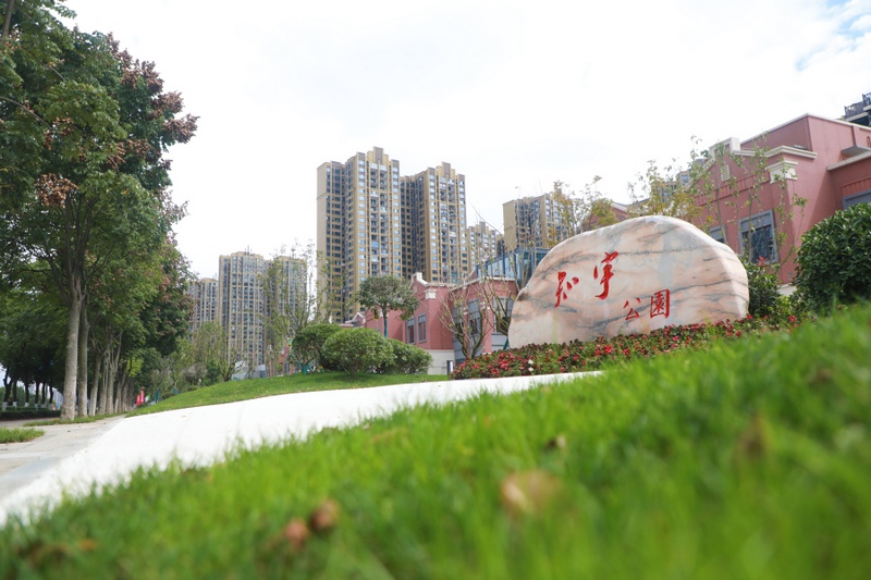 6、知宇“口袋公園”一角。.jpg
