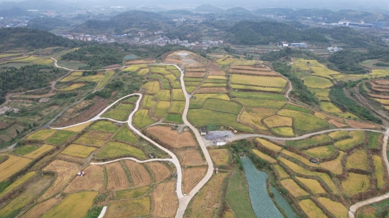 修文縣久長(zhǎng)街道清江片區(qū)高標(biāo)準(zhǔn)農(nóng)田航拍--姜繼恒 攝.jpeg
