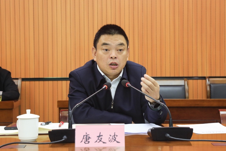唐友波出席會議并講話。