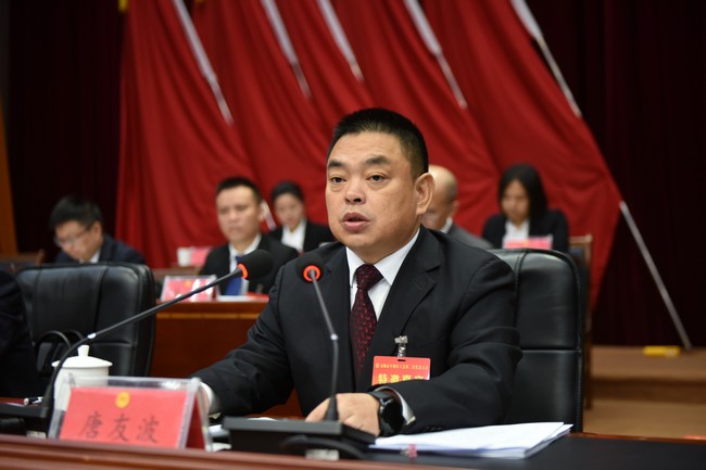 唐友波發(fā)言。