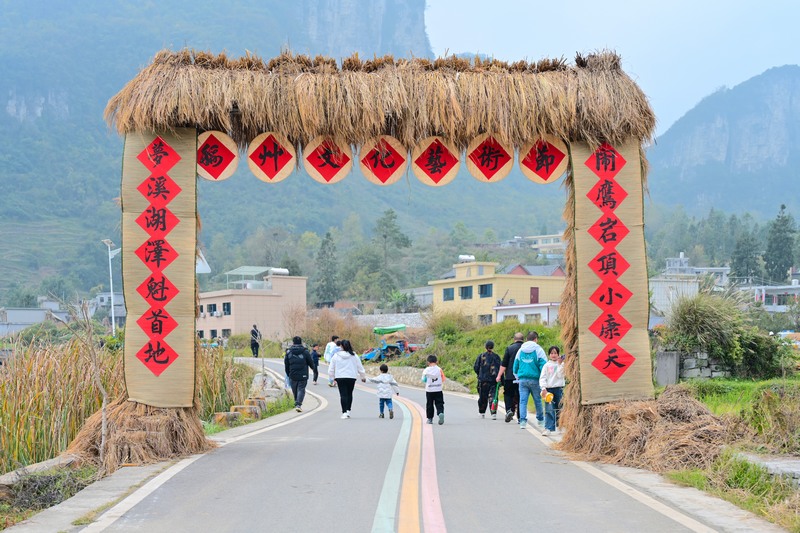 2023年11月4日 在貴州省畢節(jié)市百里杜鵑管理區(qū)黃泥鄉(xiāng)朝門村稻草文化藝術(shù)節(jié)現(xiàn)場，游客經(jīng)過用稻草制作的大門 李華 攝.jpg