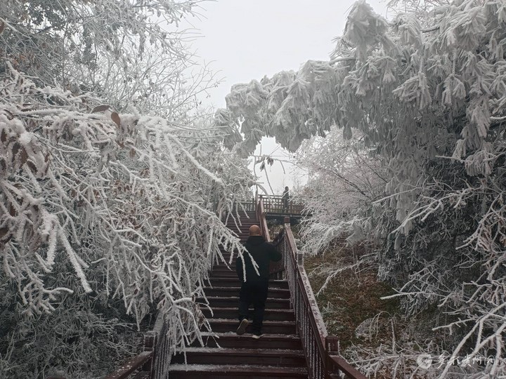 雪景。