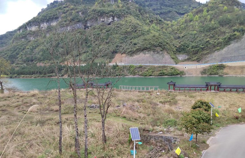 巡察前雜草叢生的荒地。