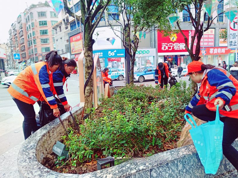 環(huán)衛(wèi)工人清理綠化帶零星垃圾。.jpg