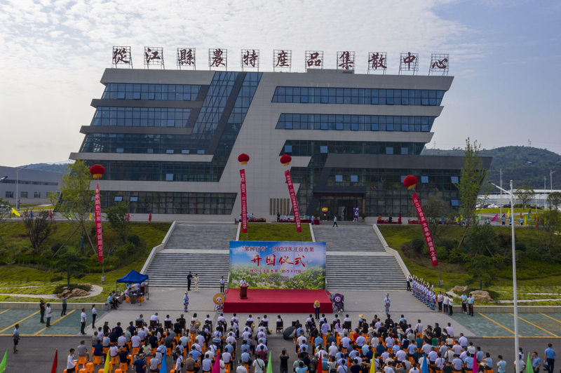 2023年從江縣百香果開園現(xiàn)場。吳德軍攝