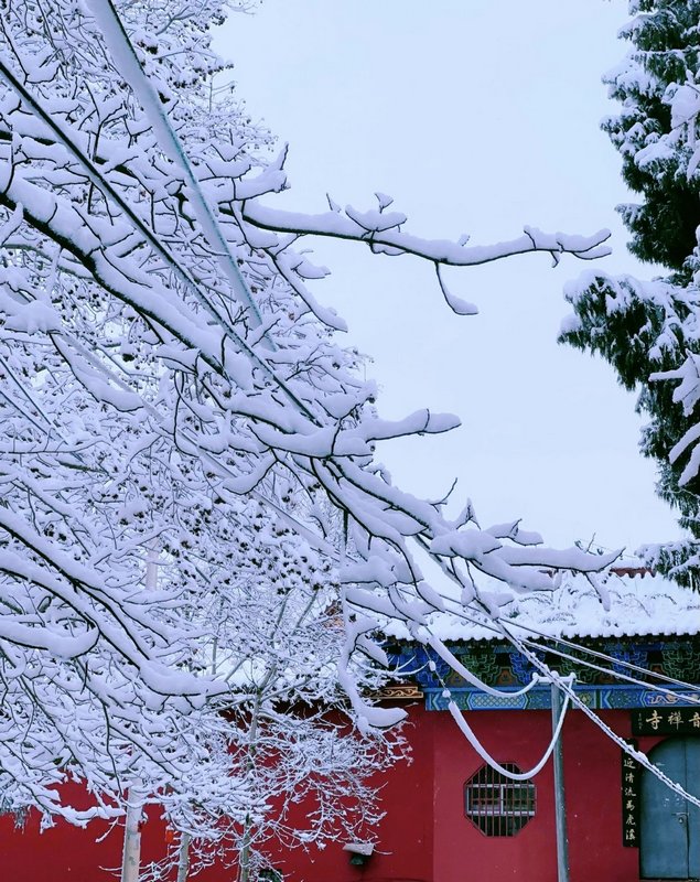 院中美景.jpg