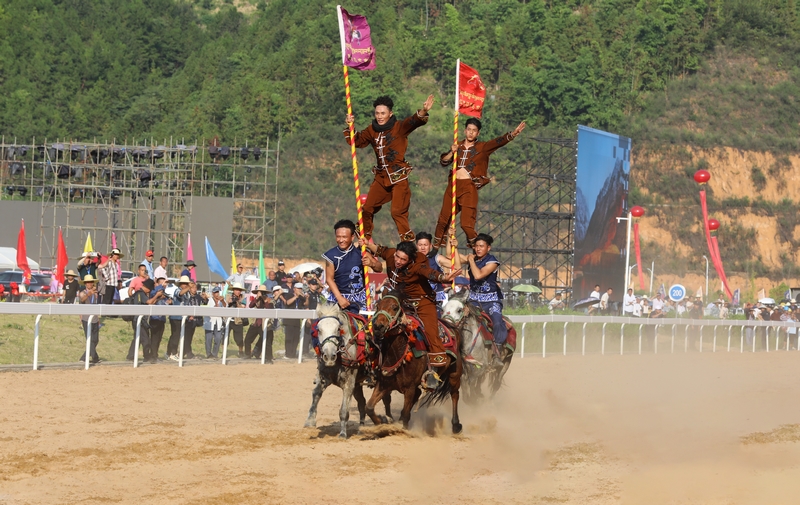 特技馬術(shù)表演。