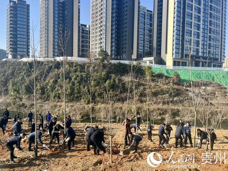 植樹現(xiàn)場(chǎng)氣氛熱烈。人民網(wǎng) 李麗萍攝