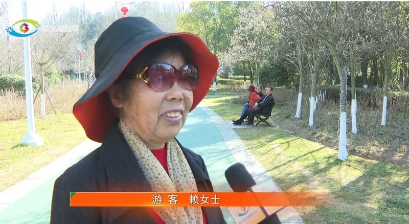 5、玉蘭花綻放。.jpg