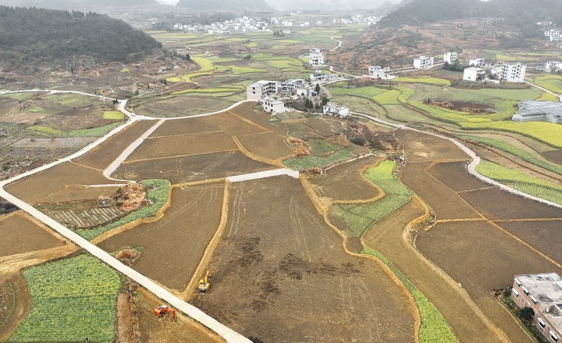 民樂村2300畝高標準農(nóng)田航拍圖。代勝強 攝.jpg