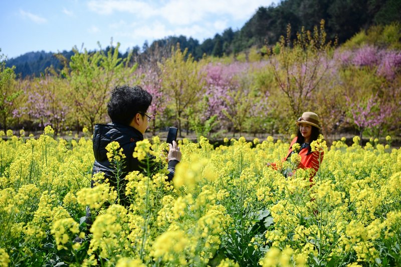 2、春光好景，宜賞花、宜拍照。.jpg