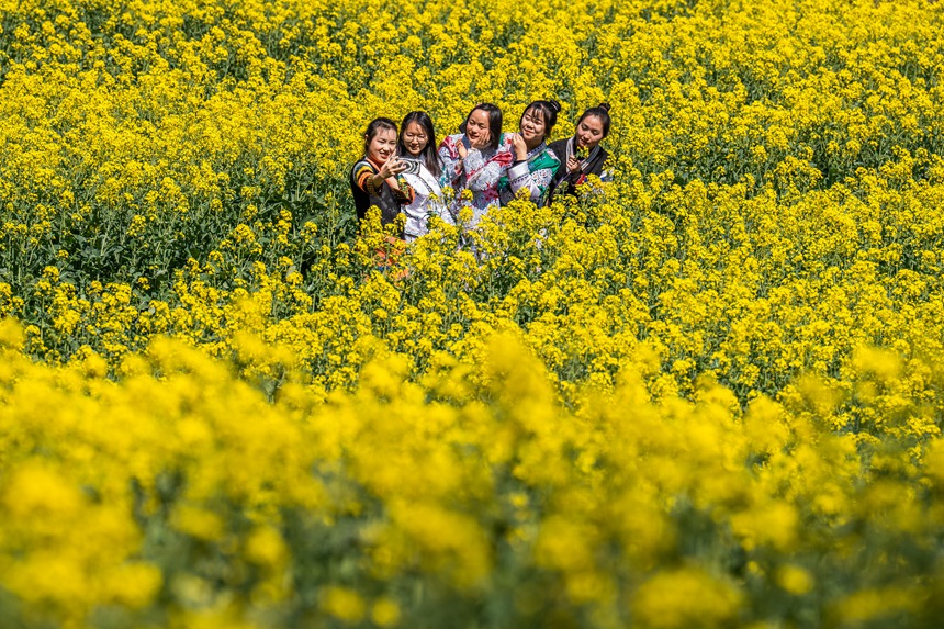 游客著民族服飾踏青賞花、拍照打卡。羅大富攝 
