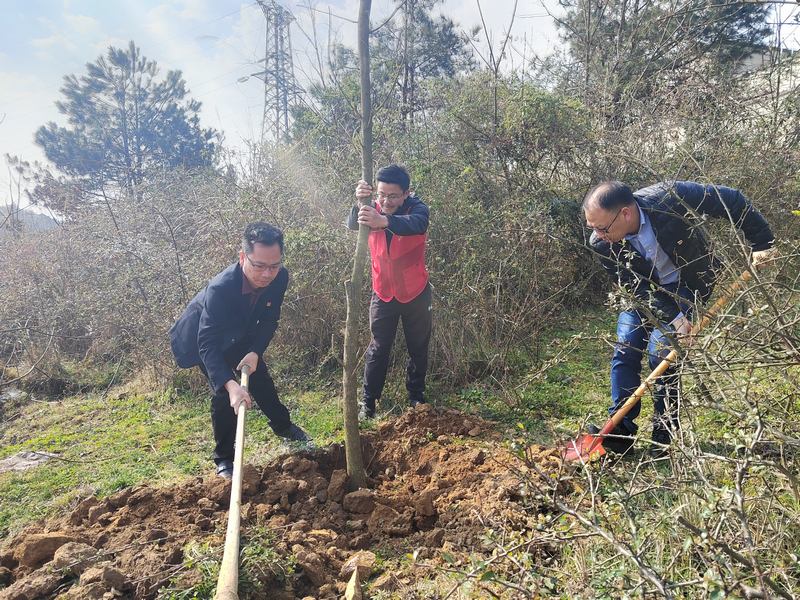 圖為：高寨鄉(xiāng)黨員干部開展義務(wù)植樹活動 (2).jpg