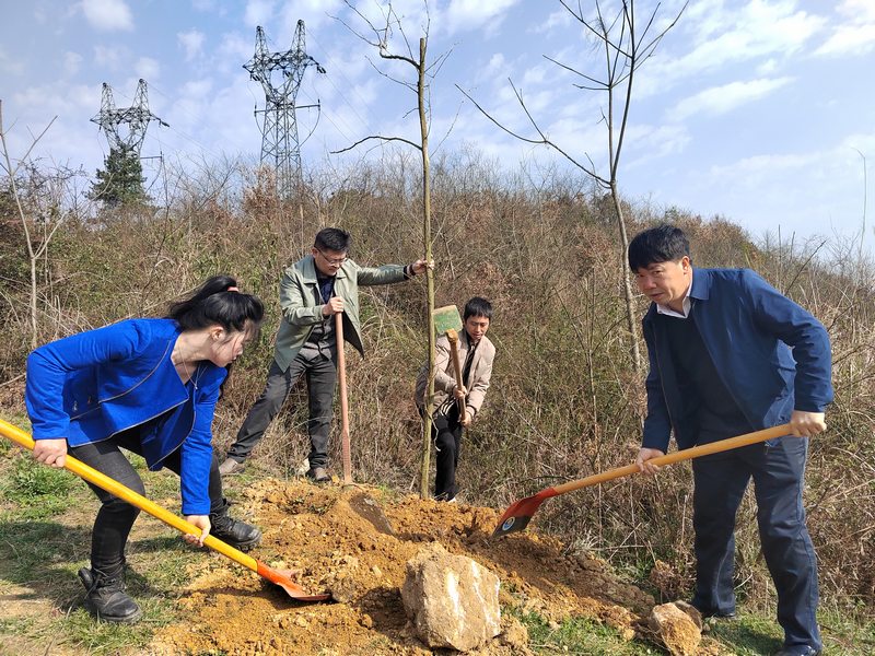 圖為：高寨鄉(xiāng)黨員干部開展義務植樹活動 (3).jpg