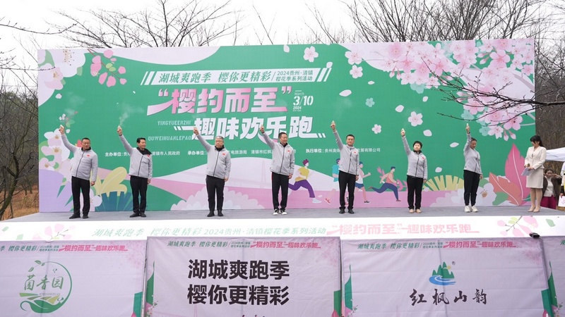 2024貴州·清鎮(zhèn)櫻花季系列活動“櫻約而至”趣味歡樂跑鳴槍開跑。彭克貴攝
