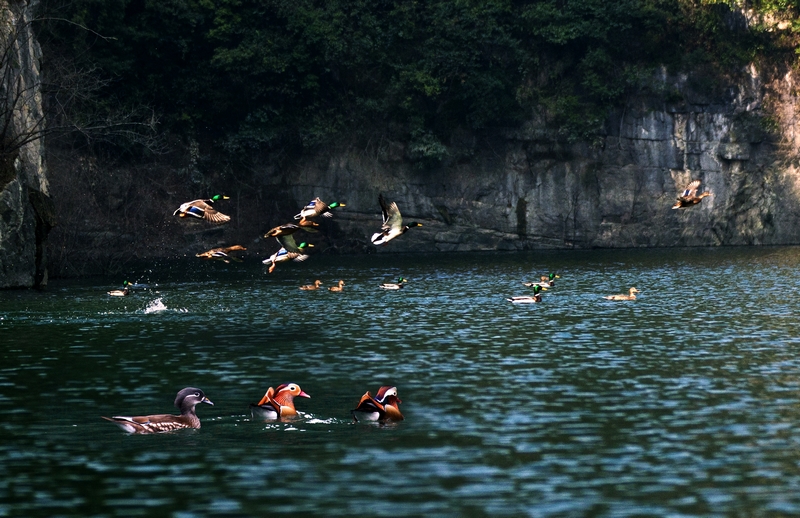 銅仁思南生態(tài)。