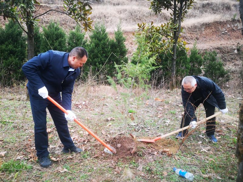 畢節(jié)市赫章縣植樹活動現(xiàn)場。貴州省林業(yè)局供圖.jpg