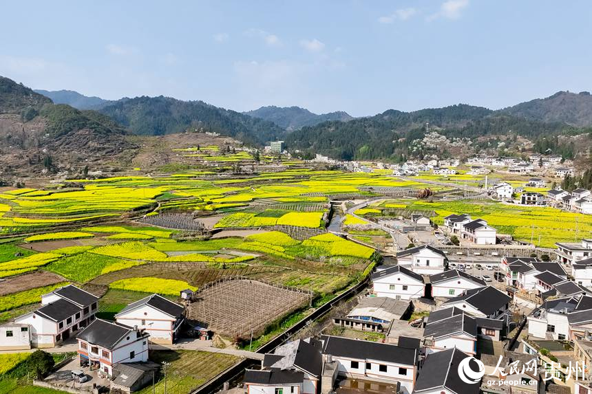 貴陽市觀山湖區(qū)百花湖鎮(zhèn)下麥城村盛開的油菜花。人民網(wǎng)記者 涂敏攝