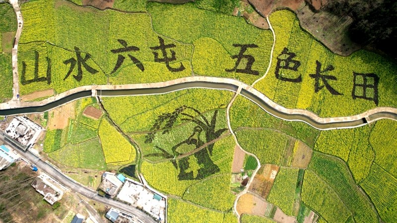 修文縣六屯鎮(zhèn)長田村2000多畝高標(biāo)準(zhǔn)農(nóng)田“山水六屯 五色長田”字樣航拍 。查姜維 攝.jpeg