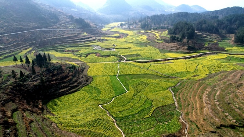 修文縣六屯鎮(zhèn)長田村2000多畝高標(biāo)準(zhǔn)農(nóng)田航拍 。查姜維 攝.jpeg