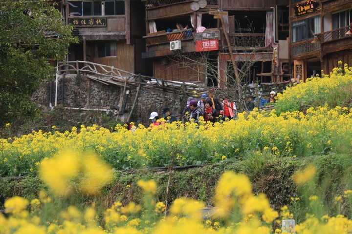 圖為郎德上寨熙熙攘攘的游客。