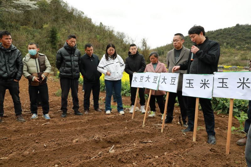 (2)2024年3月18日，圖為農(nóng)技專家為大家講解大豆玉米帶狀復(fù)合種植日常管理注意事項。（任芳靚 攝）.jpg