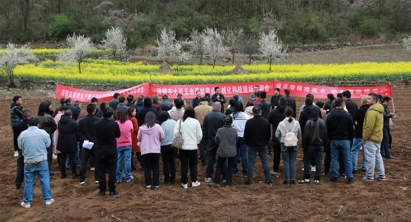 (3)2024年3月18日，圖為清鎮(zhèn)市召開2024年大豆玉米帶狀復(fù)合種植項目推進(jìn)現(xiàn)場會。（任芳靚 攝）.jpg