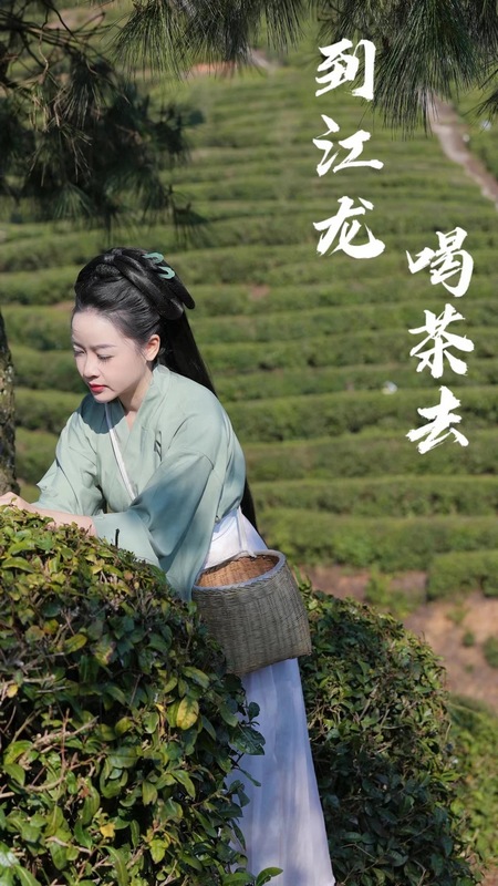 到江龍，喝茶去。