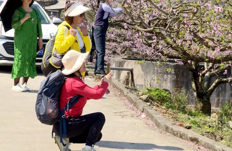 游客在桃園里拍照打卡. 李長庚 攝.jpg