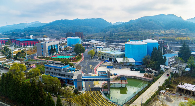 勝道公司全景。
