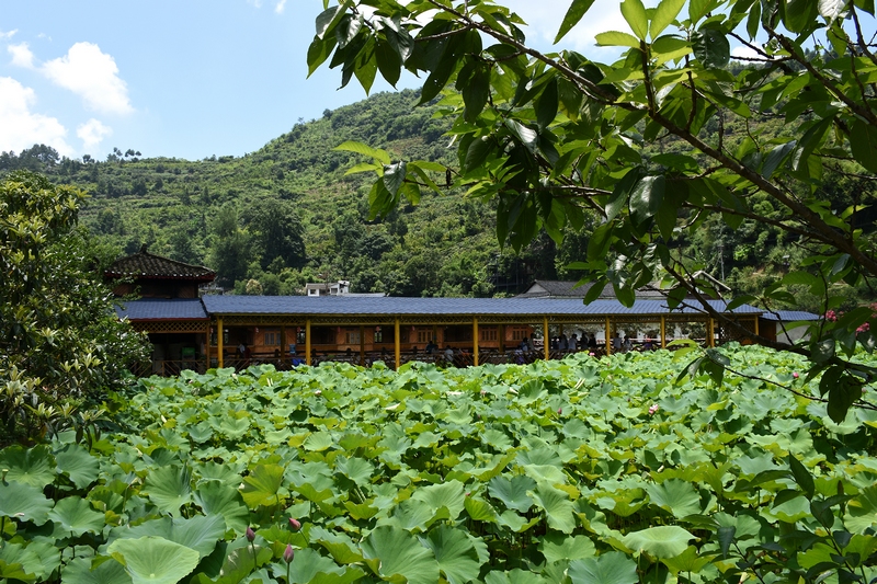 圖為：水東鄉(xiāng)舍景區(qū)。