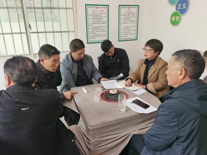 蓮花村支書陳丹組織黨員群眾代表商議村集體產(chǎn)業(yè)發(fā)展思路。