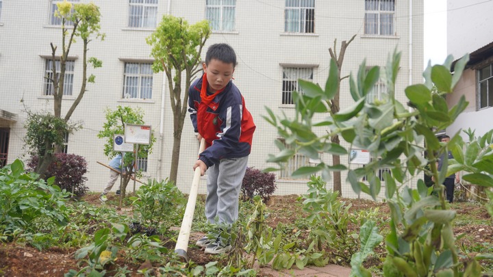 讓勞動(dòng)教育在校園里“生根”。