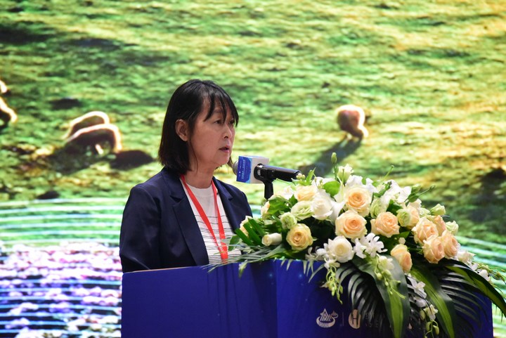 貴州省文化和旅游廳黨組成員、副廳長李芳講話。