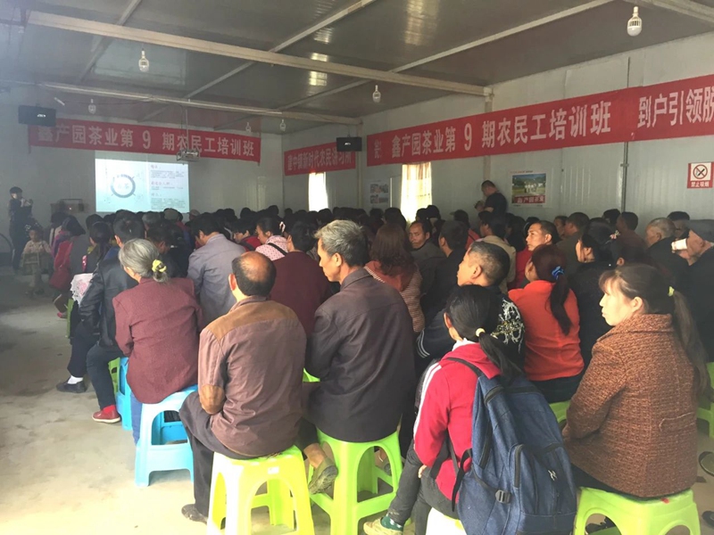 支部在鑫產(chǎn)茶園開展茶農(nóng)培訓(xùn)。