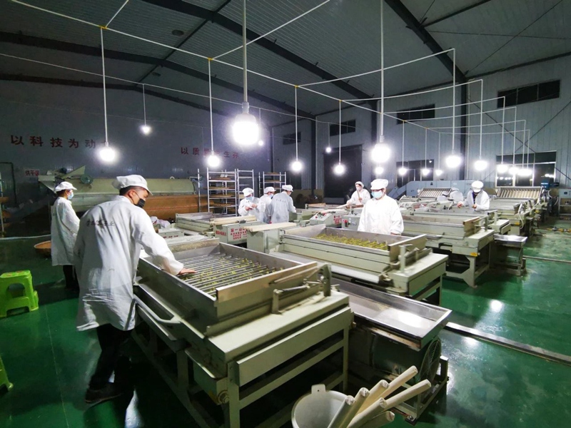 支部張金玉等黨員在車間開展高香綠茶研發(fā)。
