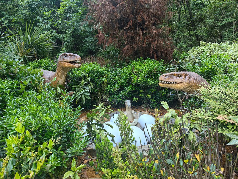 3 貴野動物園恐龍谷