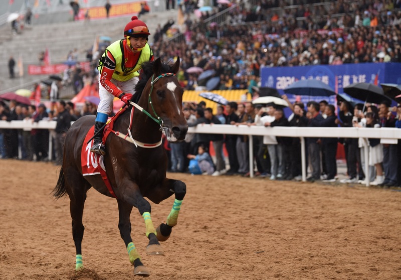 俊馬飛馳.jpg