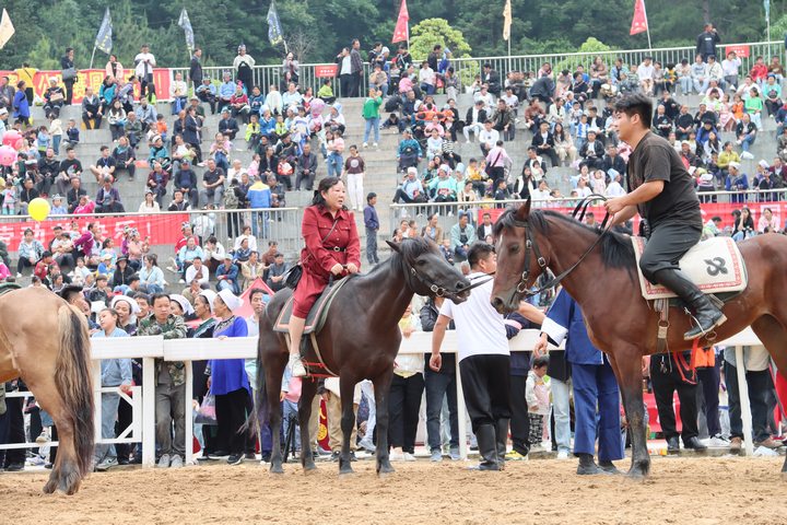 游客體驗(yàn)騎馬。