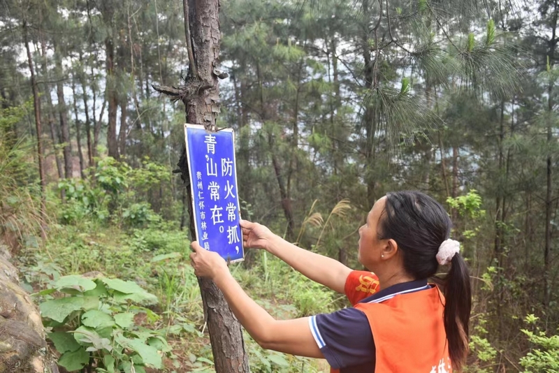 2 “生態(tài)衛(wèi)士”羅美：守護青山巾幗志 續(xù)寫兩代護林情