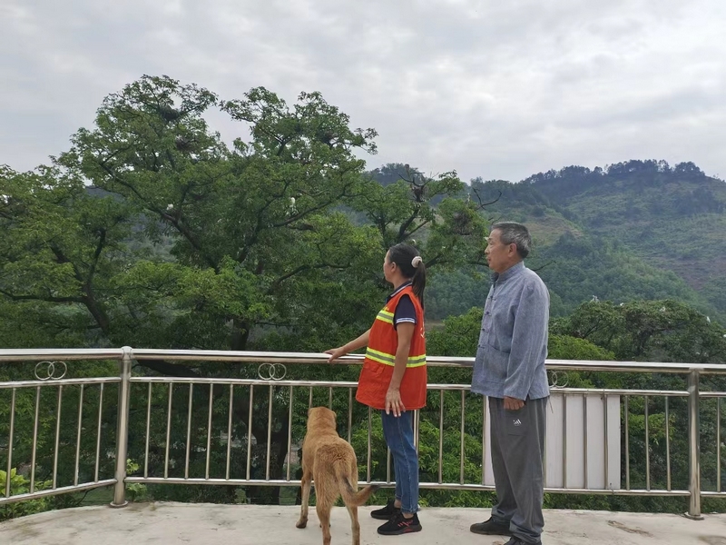 3 守護青山巾幗志 續(xù)寫兩代護林情