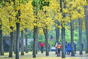 市民在黔靈山公園鍛煉。